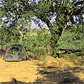 Camping Alentejo, Corgo do Pardieiro