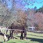 Camping Beiras Portugal