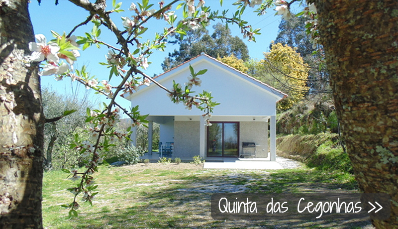 Vakantiehuis bij Quinta das Cegonhas