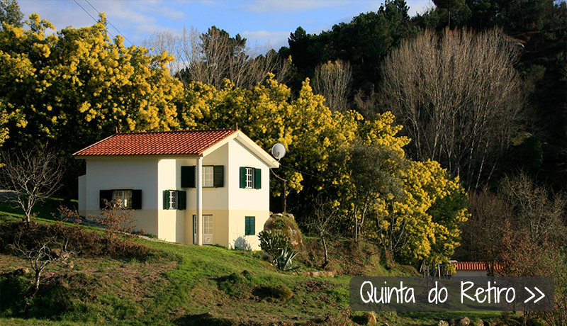 Vakantiehuis op kleinschalig vakantiepark, Quinta do Retiro