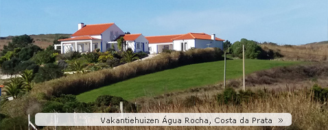 Vakantiehuizen �gua da Rocha