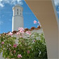 Vakantiehuis in authentiek dorp Algarve