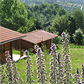 Houten vakantiehuizen Noord-Portugal