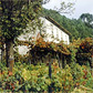 Vakantiehuis Douro-vallei