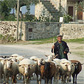 Rondreis Portugal
