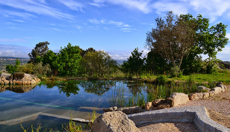 Ecologisch zwembad bij Quinta Vale Porcacho B&B