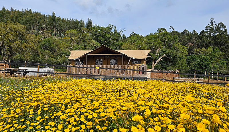 Casa da Vinha, glamping lodge in de Alentejo