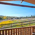 Uitzicht over bloemenzee vanaf lodgetent
