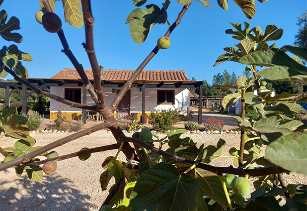 Lodgetent met veranda en uitzicht