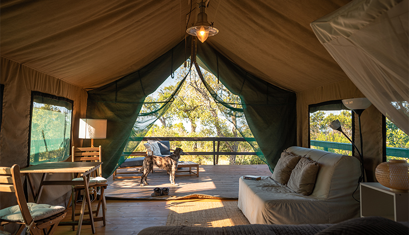 Safaritent in Alentejo bij Portugal Nature Lodge