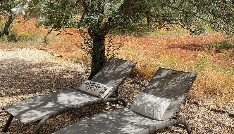 Relaxen onder de olijfbomen