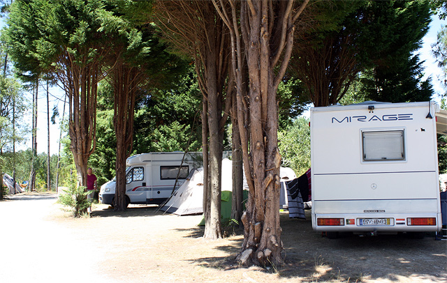 Camping Portugal onder de bomen