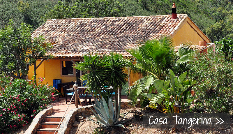 Casa Tangerina, vakantiehuisje in de Algarve