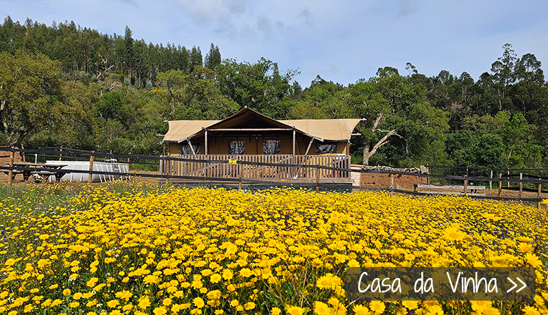 Casa da Vinha, glamping lodgetenten in de Alentejo