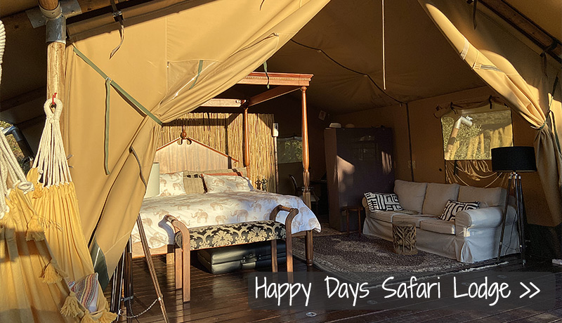 Happy Days Safari Lodge in de Algarve