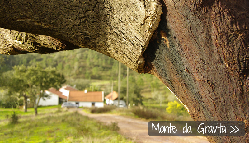 Monte da Gravita, vakantiehuizen in de Alentejo