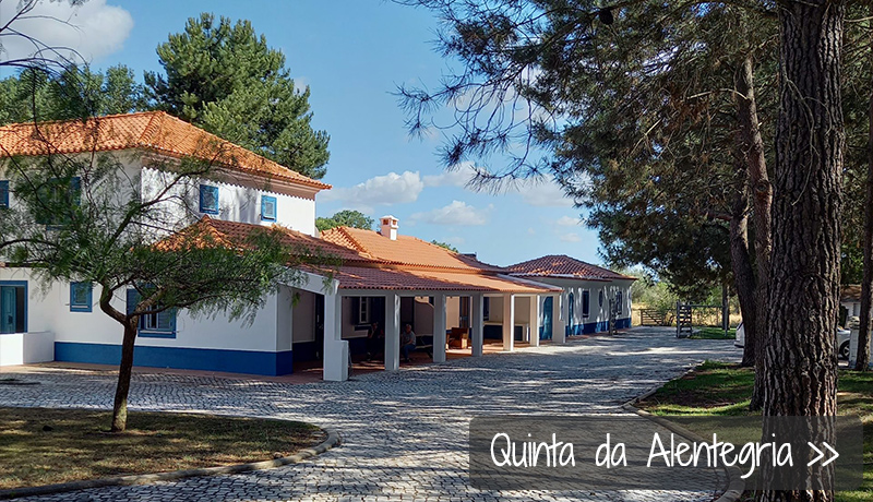 Vakantievilla in Alentejo, Quinta da Alentegria