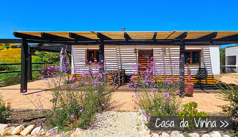 Wijnboerderij Alentejo