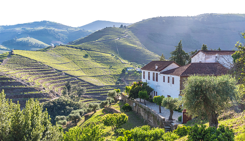 Vakantiehuis in de Douro-vallei