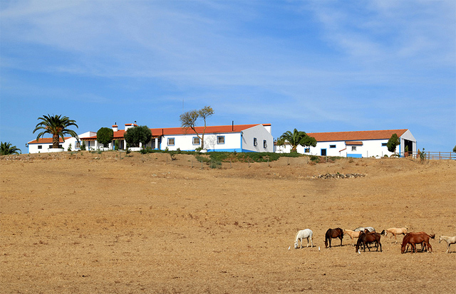 Herdade of vakantiehuis in regio Alentejo
