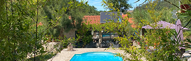 Quinta Japonesa, Zilverkust
