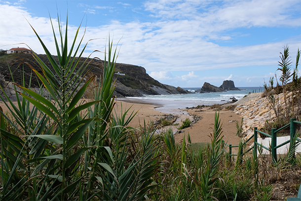 Het strand van Carvalhal