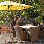 Zitje onder de plataan