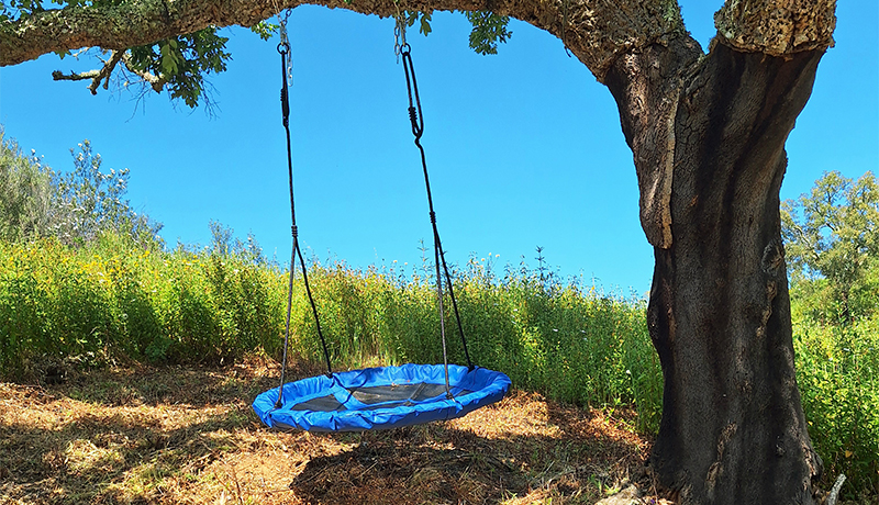 Boomschommel bij Casa Inglesa Roosa