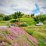 Zwembad in heuvelachtige tuin