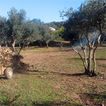 Landgoed Monte da Gravita