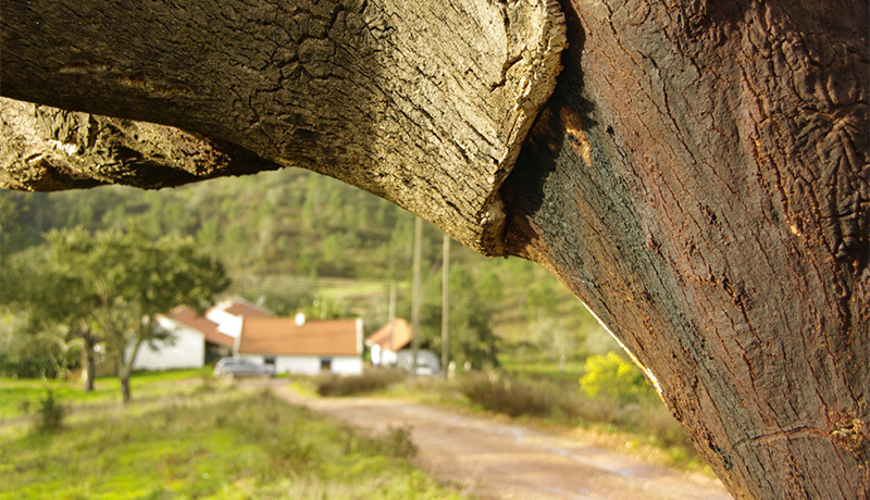 Vakantiehuizen tussen de heuvels van de Alentejo