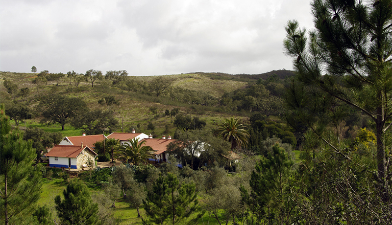 Monte da Gravita, vakantiehuizen in de Alentejo