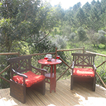 Terras Casa do Pinheiro