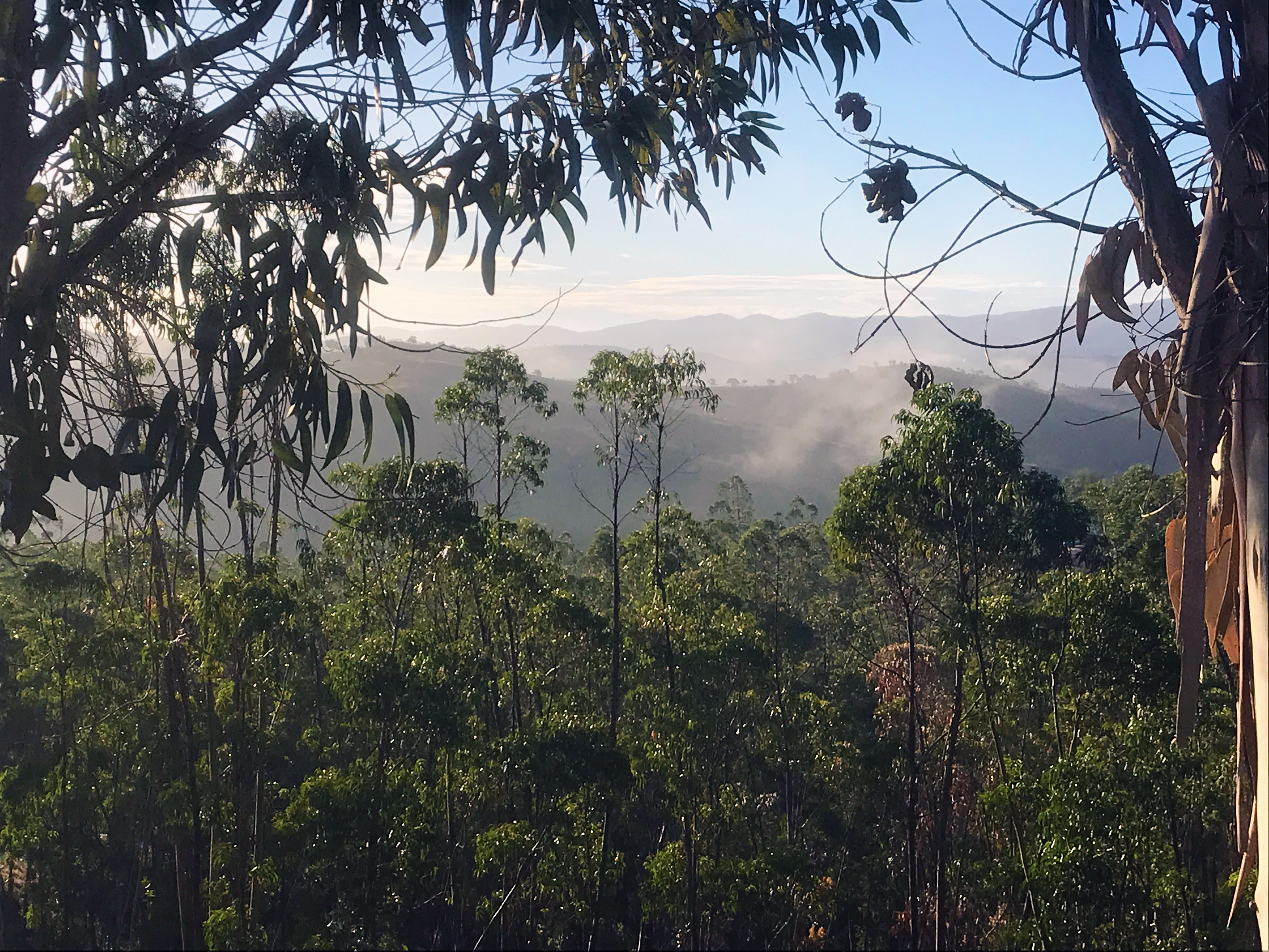 Uitzicht over het landgoed van Monte do Casarão