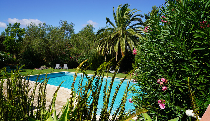Zwembad bij Casa Ferrobo