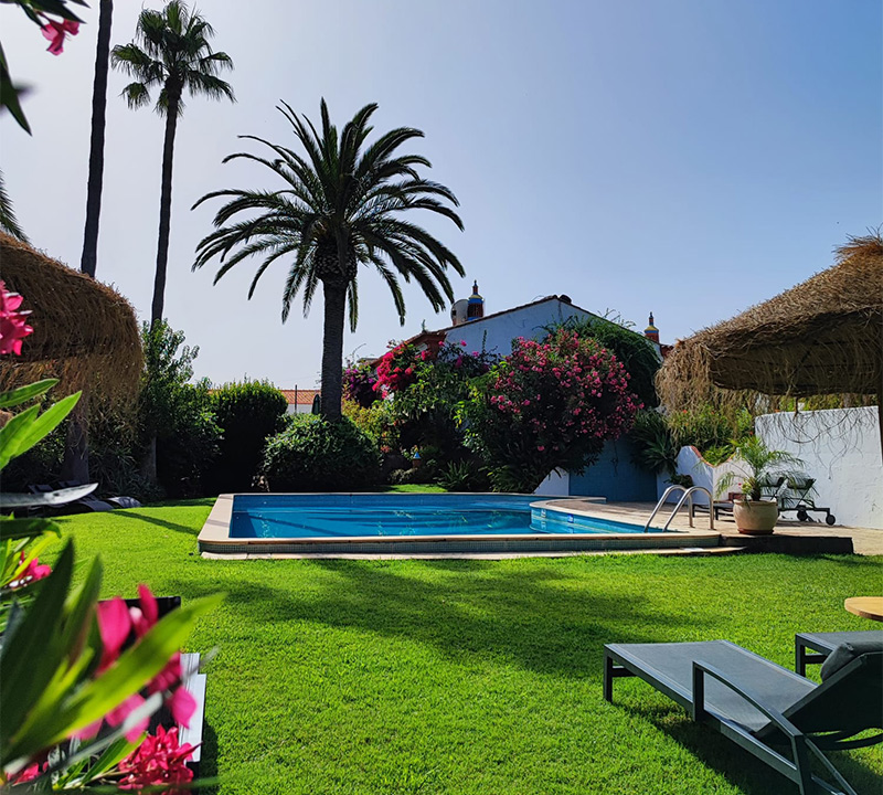 Zwembad met palmbomen bij Casa Ferrobo