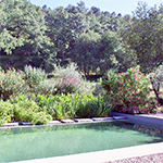 Ecologisch zwembad