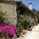Romantisch vakantiehuis met veel bloeiende planten
