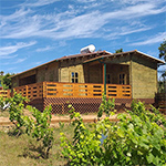 Cabana Girassol