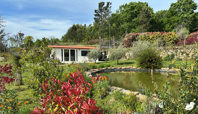 Vakantiehuisje Casa do Galo junior in Noord-Portugal