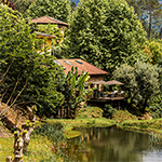 Vakantiehuis Casa do Azeite