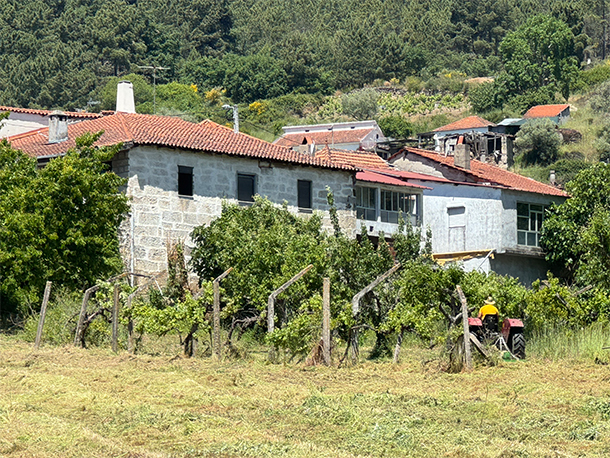 Viva sua Vida wijnboerderij met wijnvelden