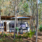 Caravan